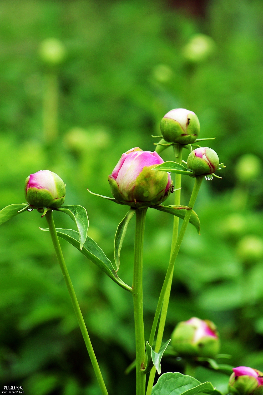 100_5050.jpg