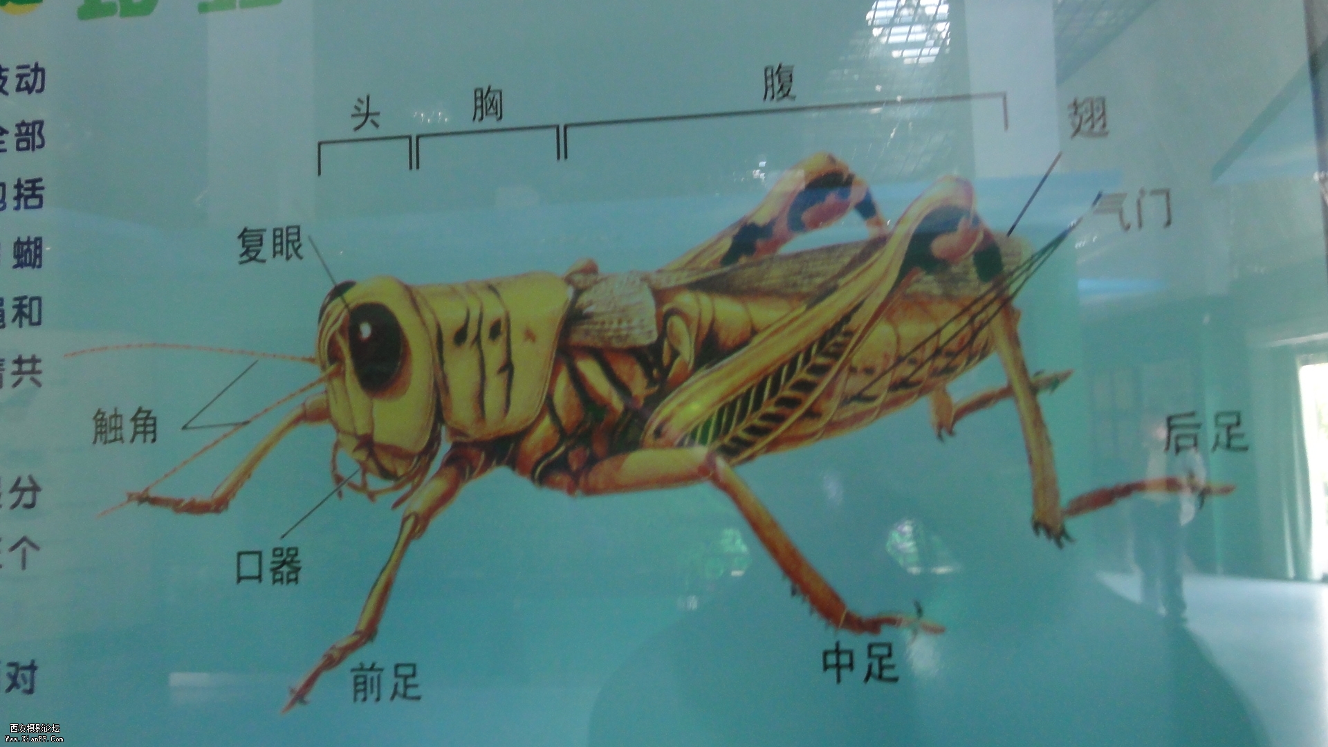DSC00305.JPG