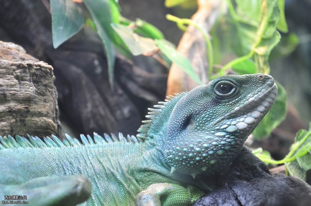 调整大小 _DSC0869.JPG