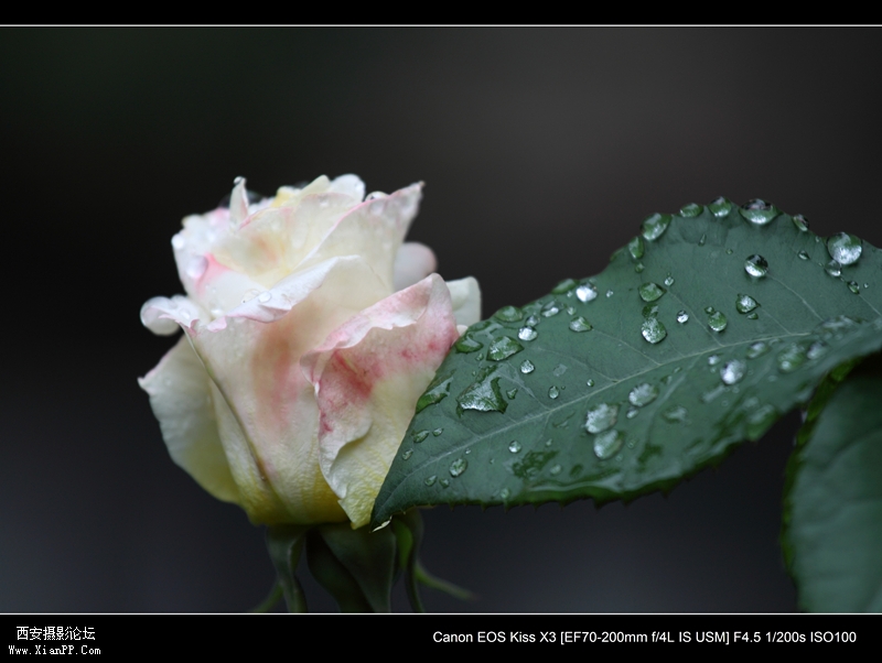 20110510历史博物馆1262.jpg