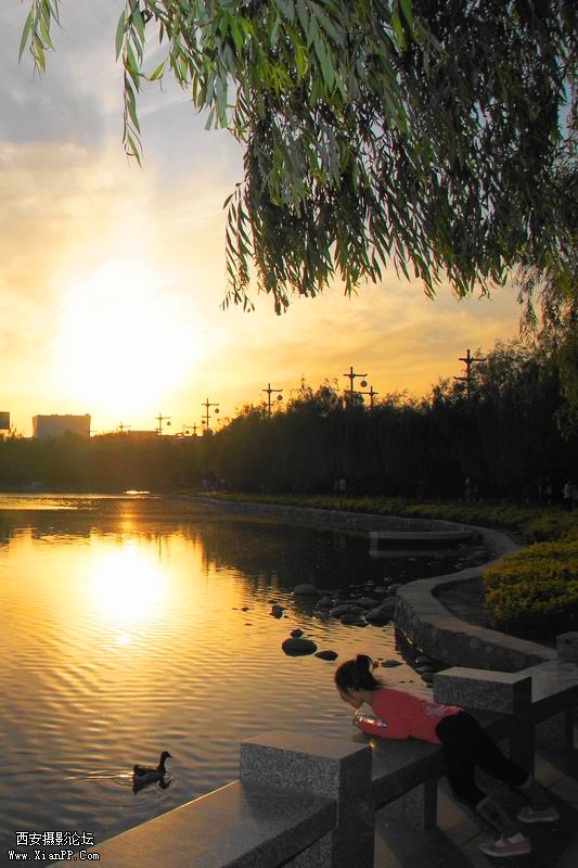 调整大小 DSC02092 -1.jpg