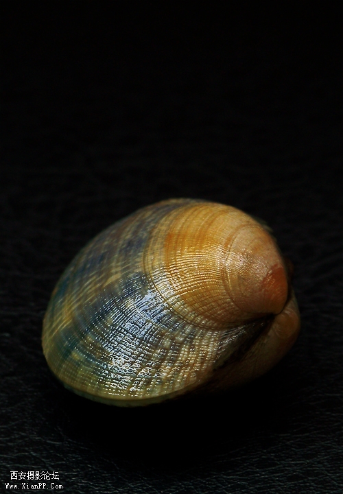 100_5302.jpg