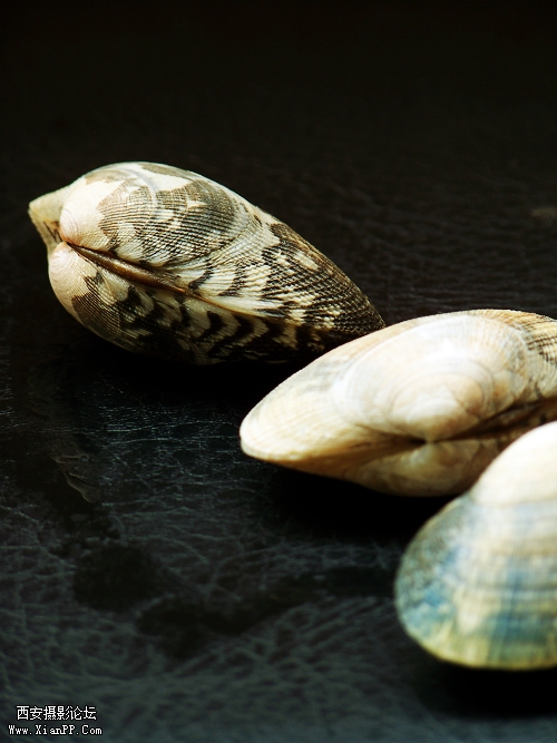 100_5316.jpg