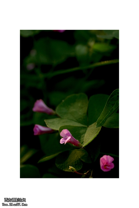 IMG_0367 (2).jpg