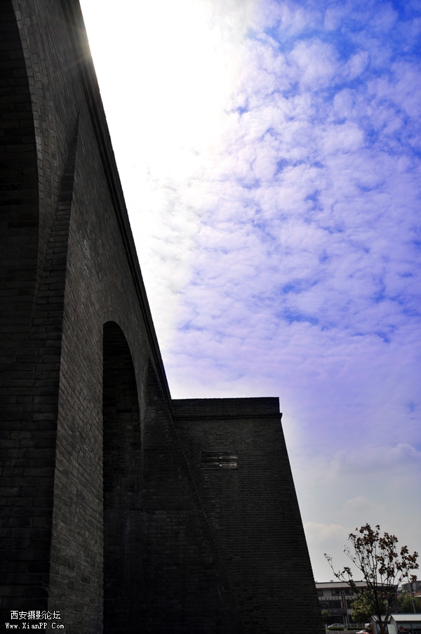 DSC_0184.jpg