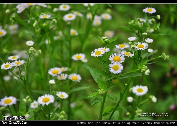a6748532_s.jpg