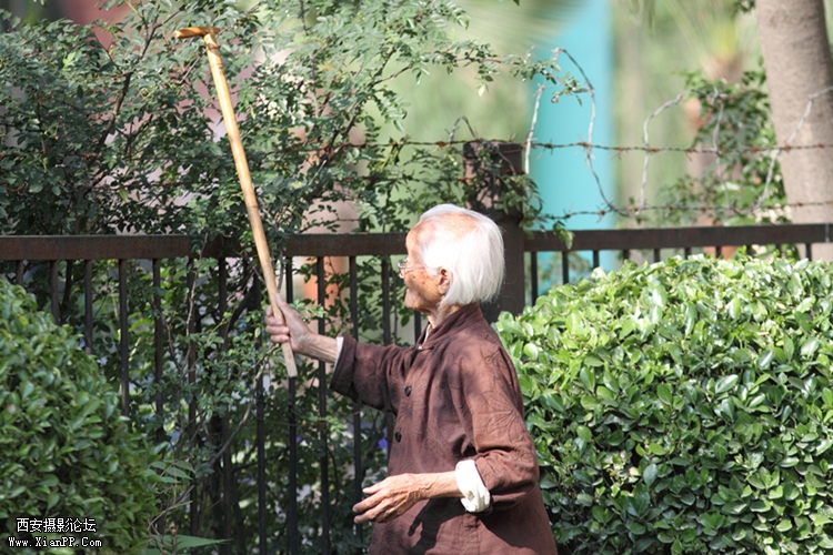 201105261401.jpg