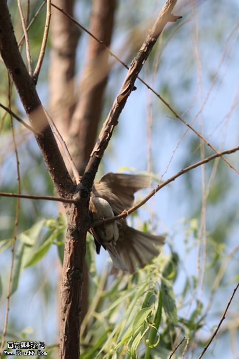 201105261411_副本.jpg