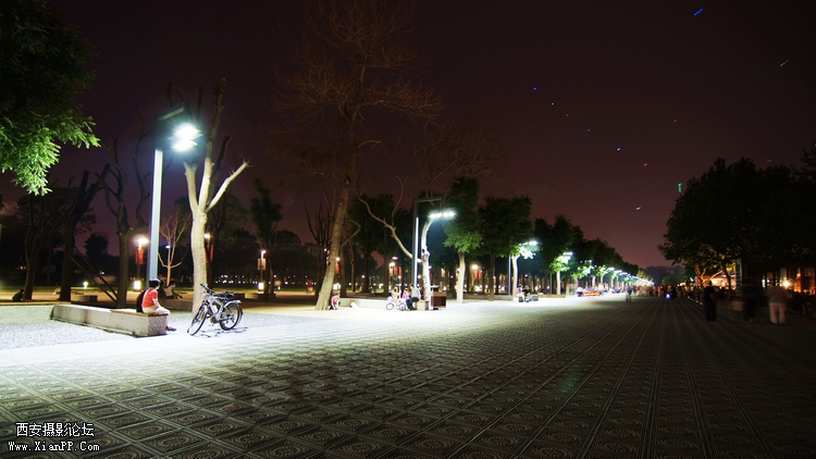 DSC02939(1)-001.jpg