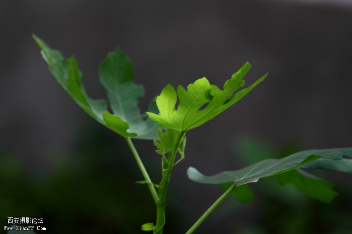 201105311608_调整大小.JPG