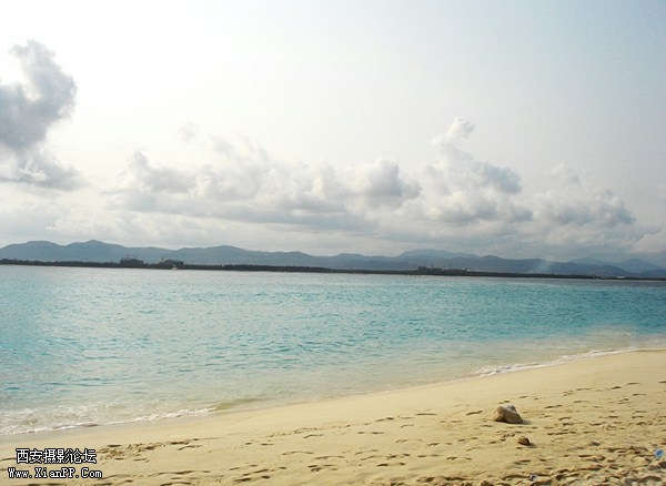 DSC04008.JPG