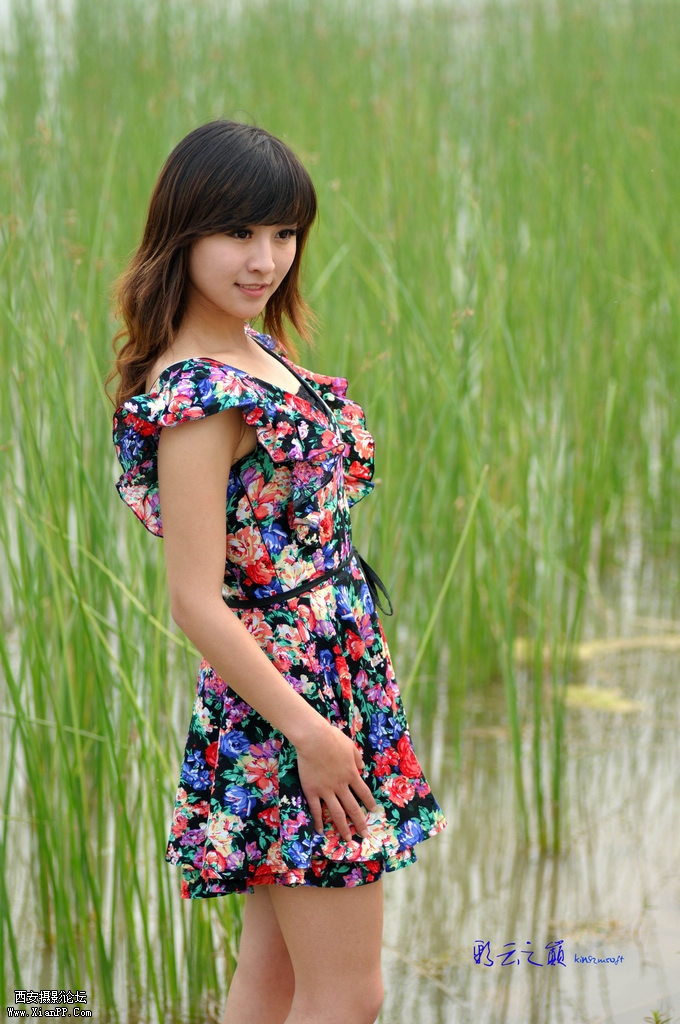 DSC_3800-small.jpg