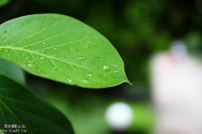 201106081962_调整大小.JPG
