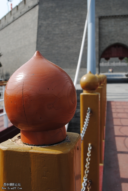 DSC_010_副本.jpg