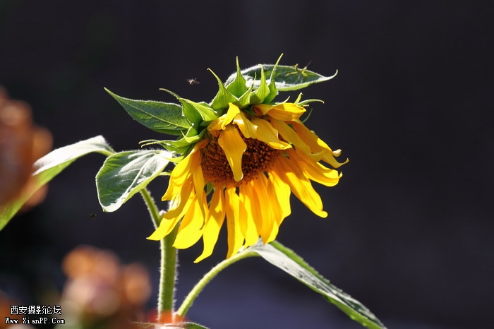 201106101997_调整大小.JPG