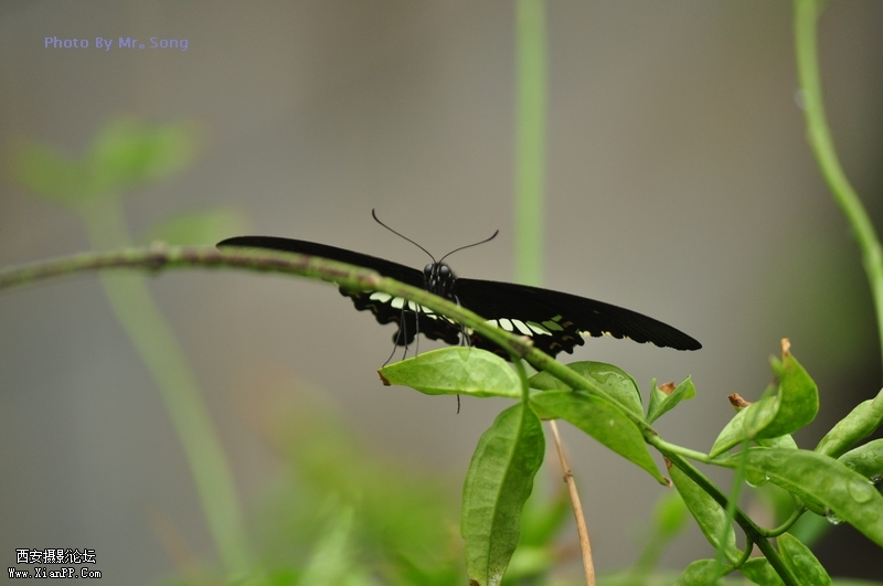DSC_2314.JPG