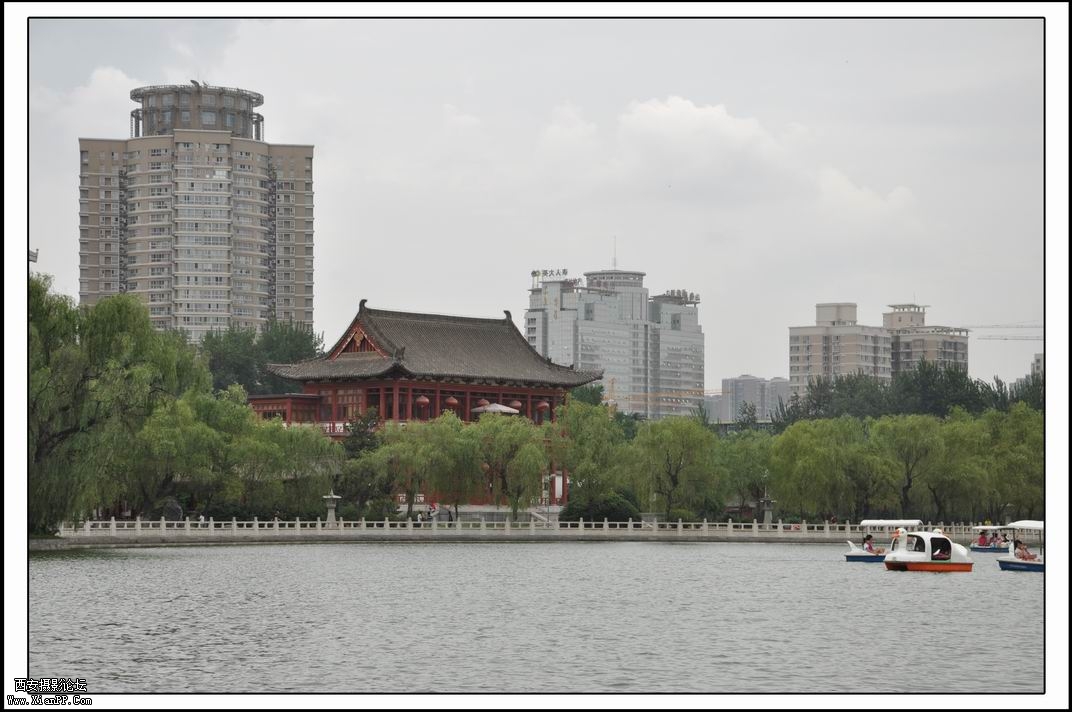 调整大小 DSC_3102.jpg