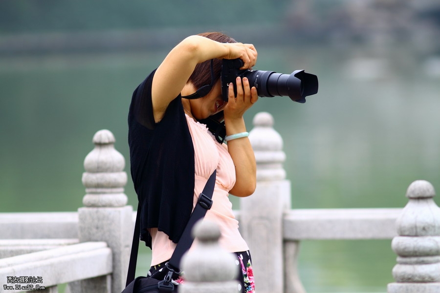 20110622 荷花2529_调整大小.JPG