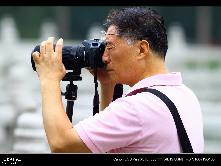 20110622 荷花2531_调整大小.JPG