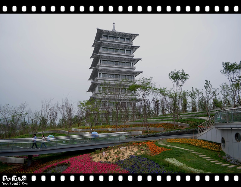 照片 158_副本.jpg