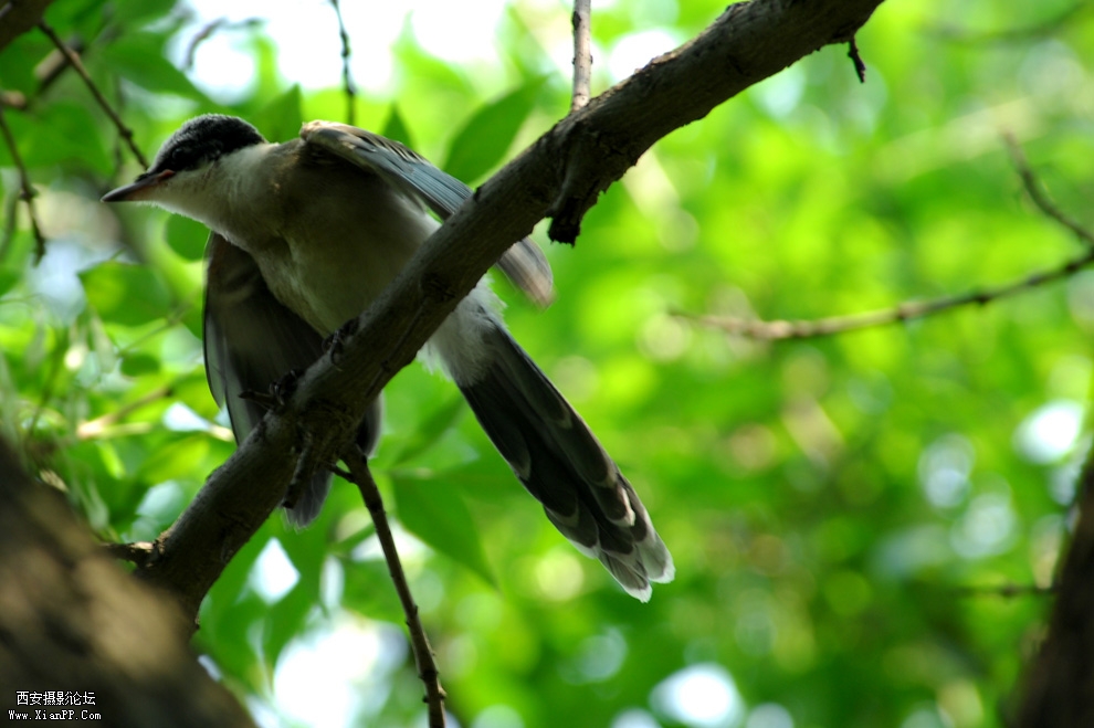 DSC_0054.JPG