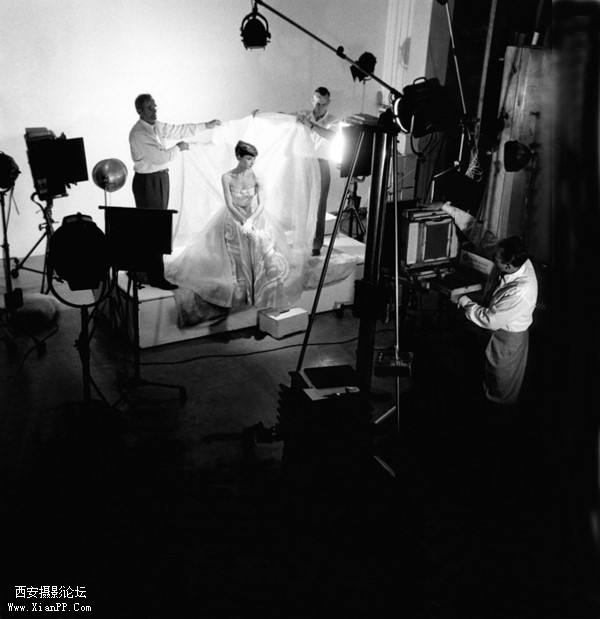 p_large_J4GD_1315000162782d14.jpg