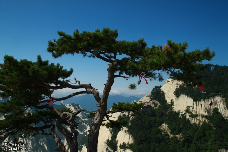 IMG_0194_调整大小.JPG