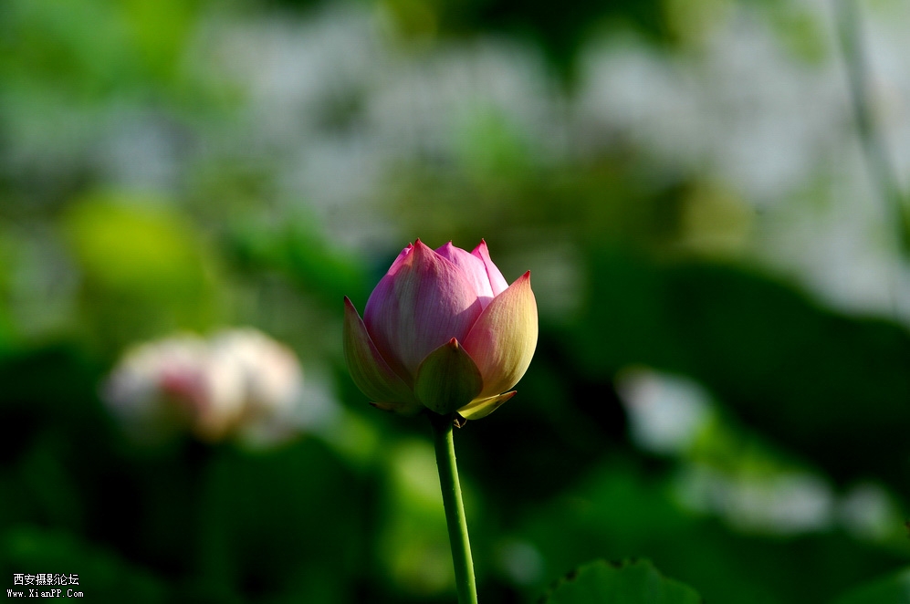 DSC_0001.JPG