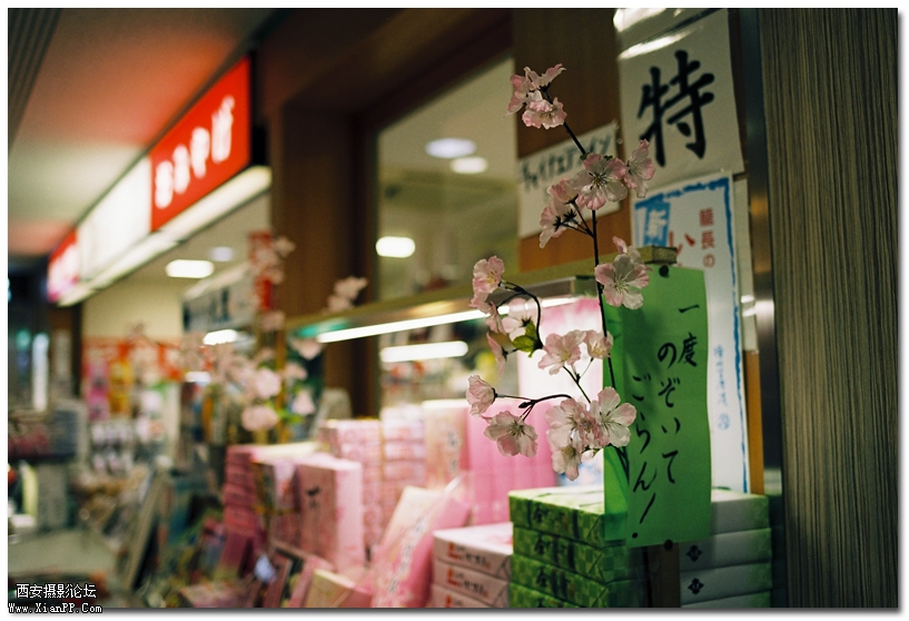 礼物.jpg