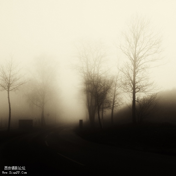 009.jpg