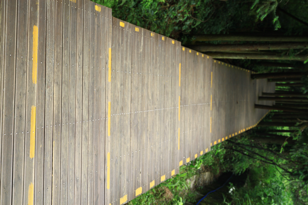 山道