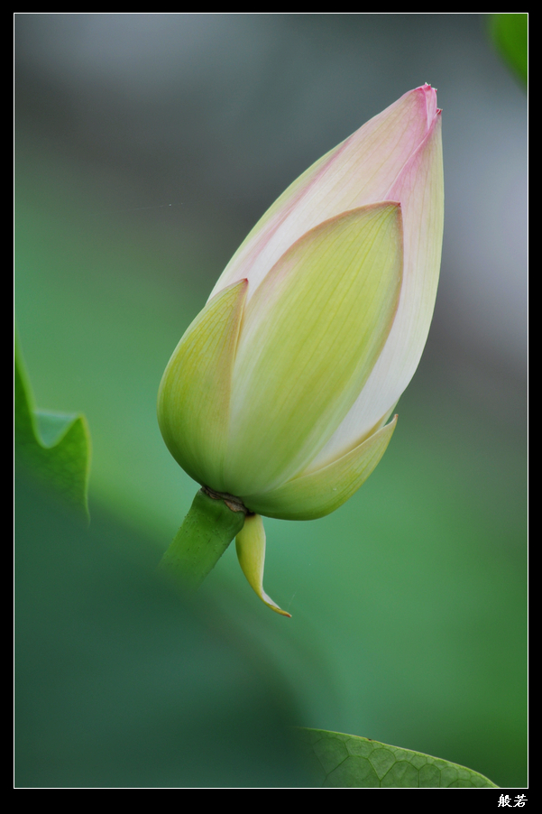 nEO_IMG_照片 069.jpg
