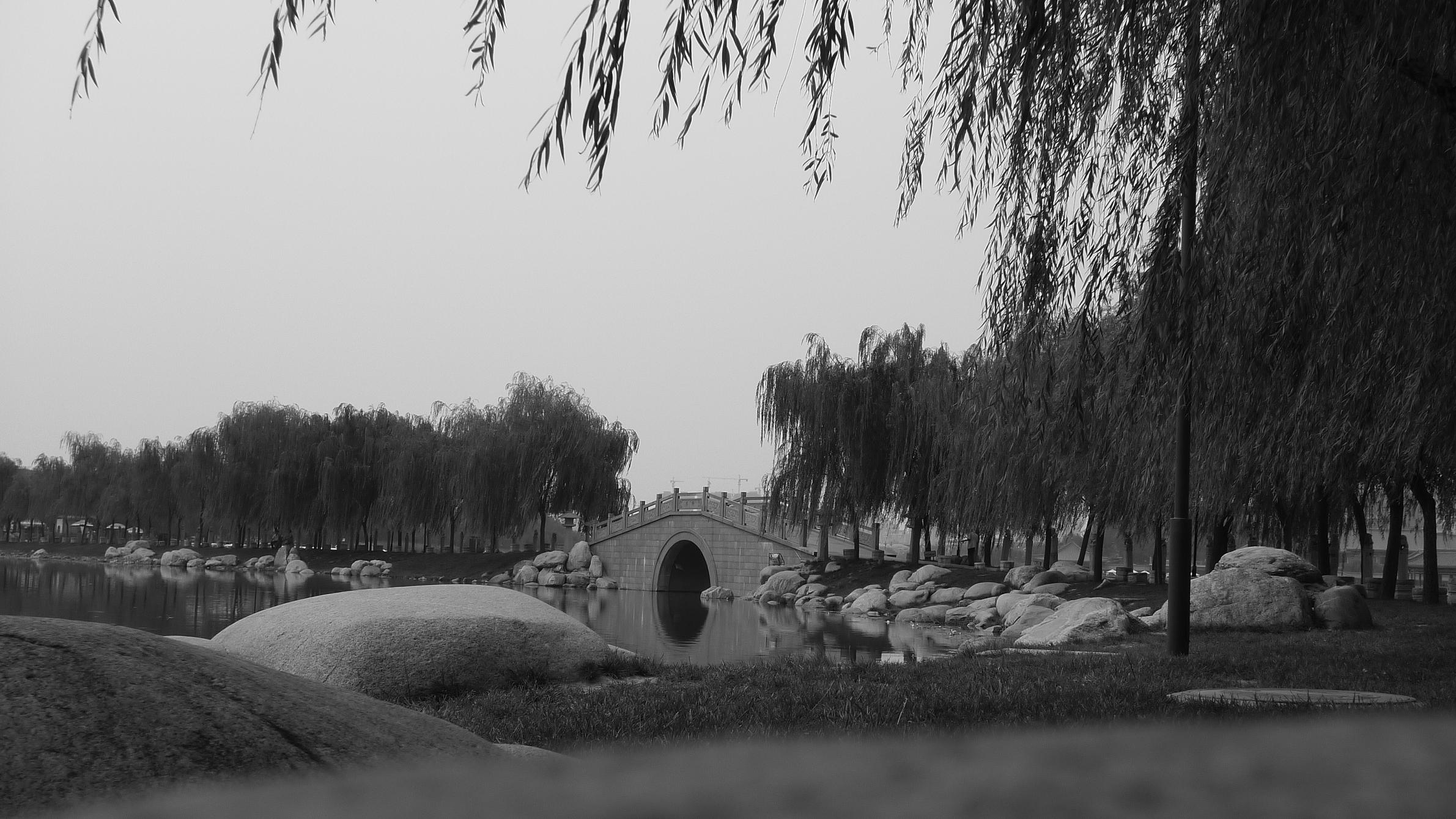 P1040568.JPG