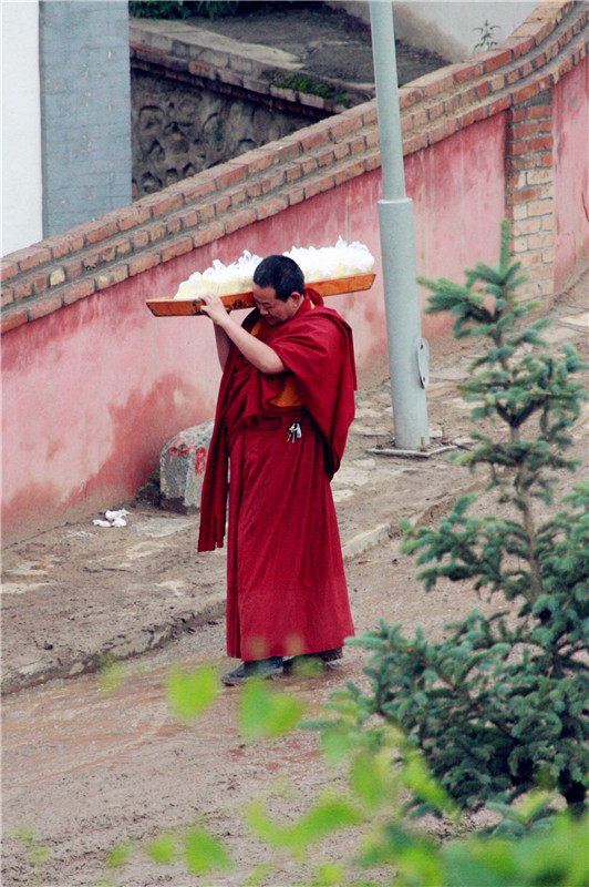 照片 040_副本_副本.jpg