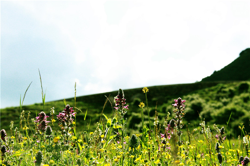 照片 378_副本_副本.jpg