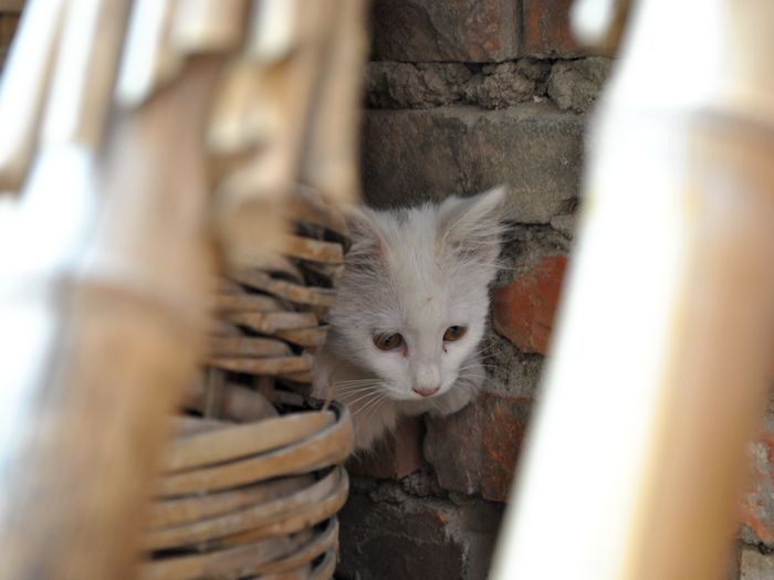 DSC_0156.jpg