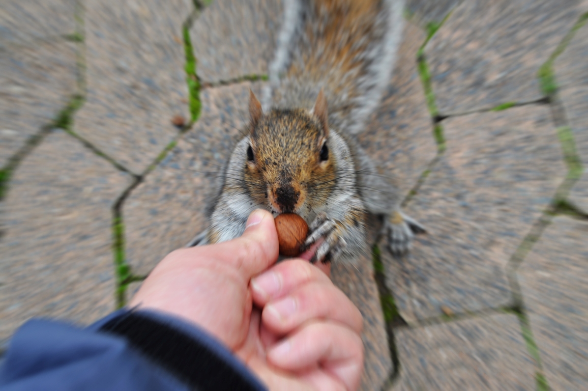 DSC_0342.JPG