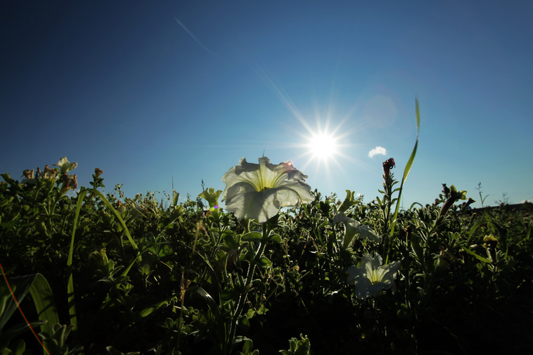 nEO_IMG_IMG_2801 (2).jpg