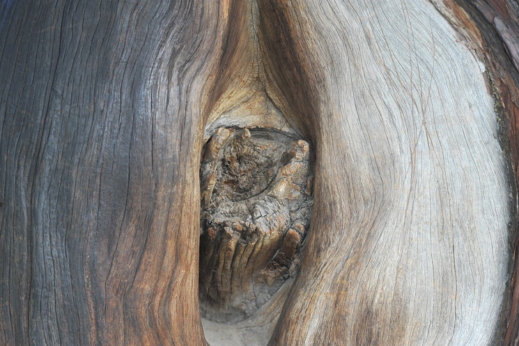 DSC_2506.JPG