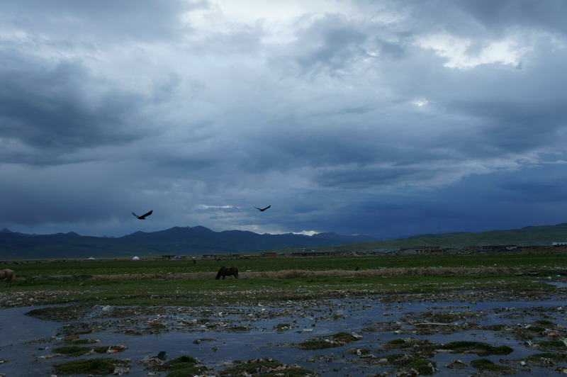 DSC05069_调整大小.JPG