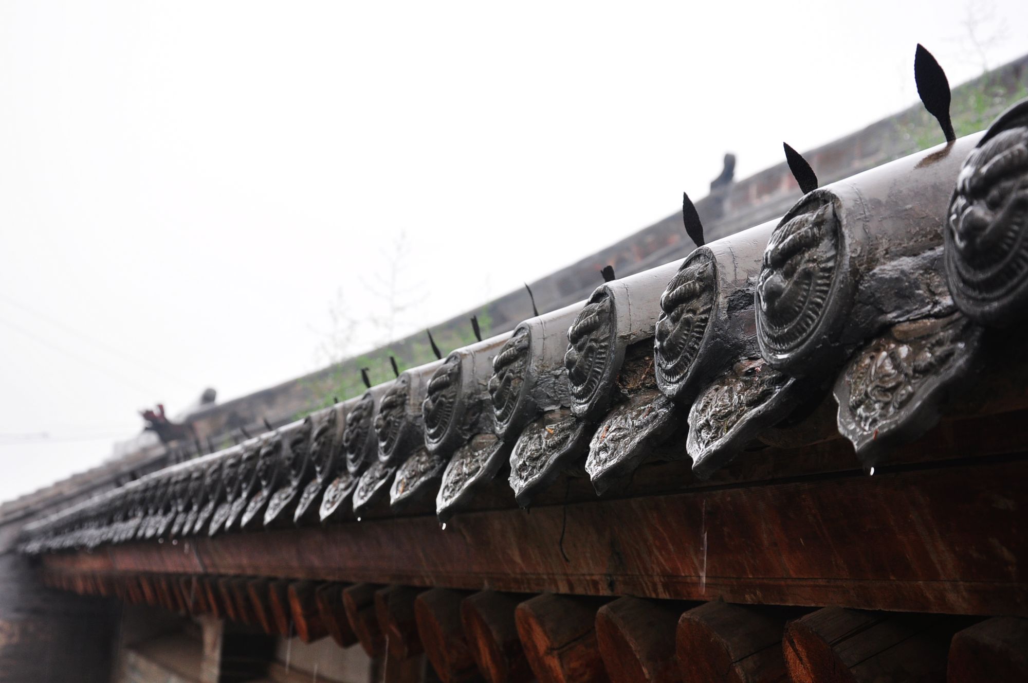 nEO_IMG_照片 171.jpg