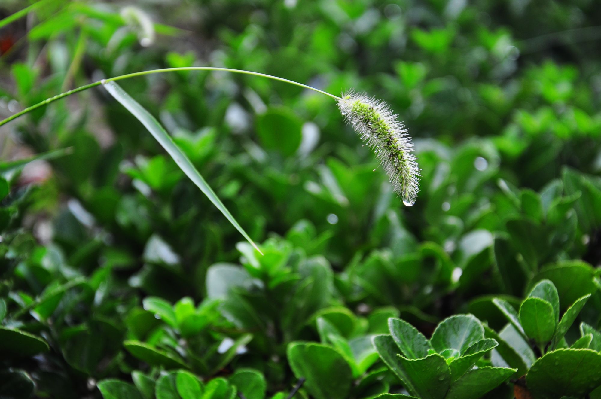 nEO_IMG_照片 174.jpg