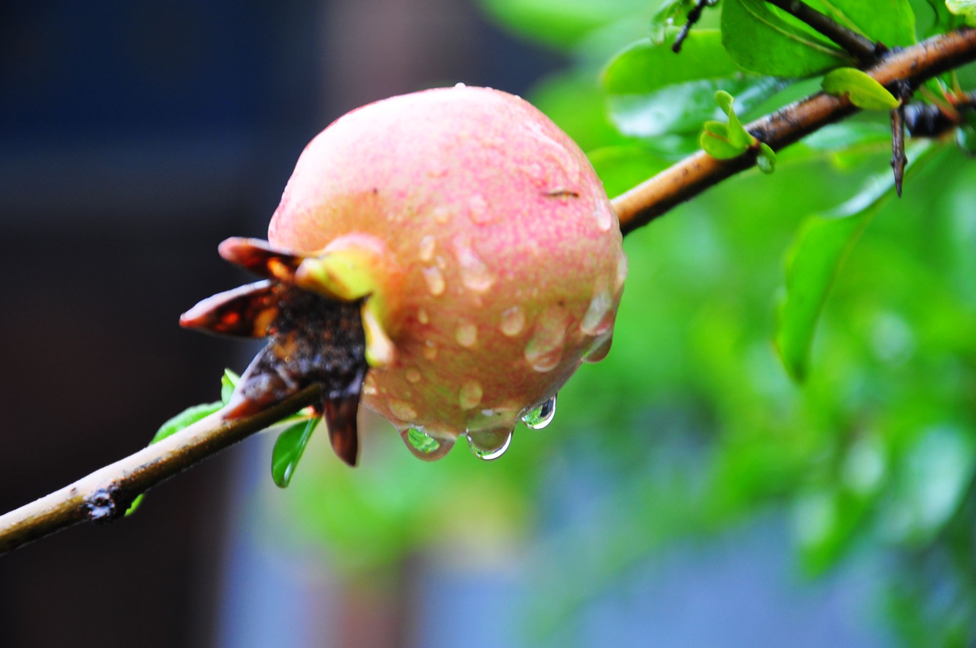 nEO_IMG_照片 176.jpg