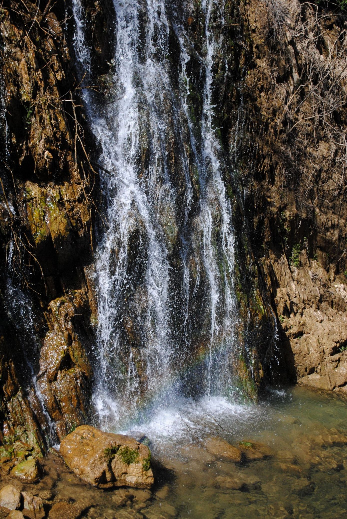 DSC_6355.jpg