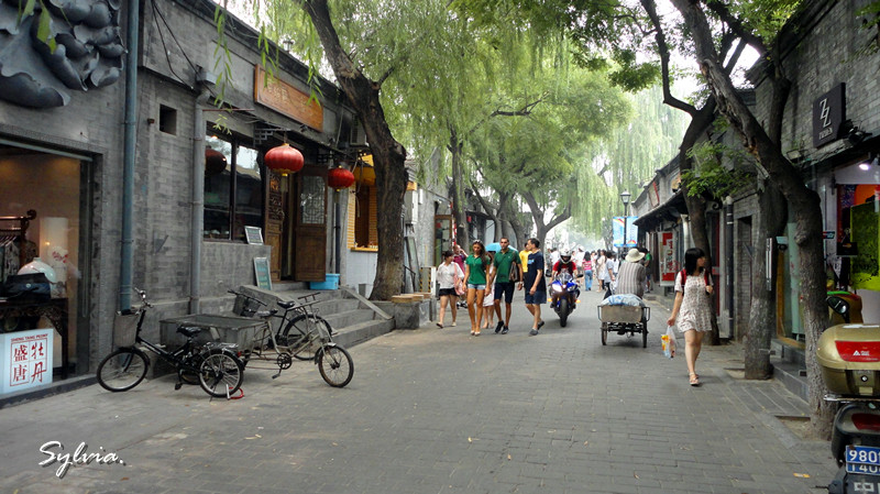 DSC00977_副本.jpg