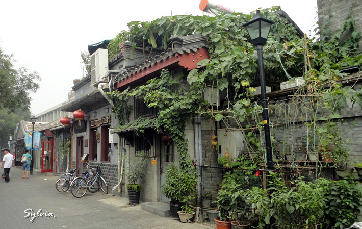 DSC01004_副本.jpg