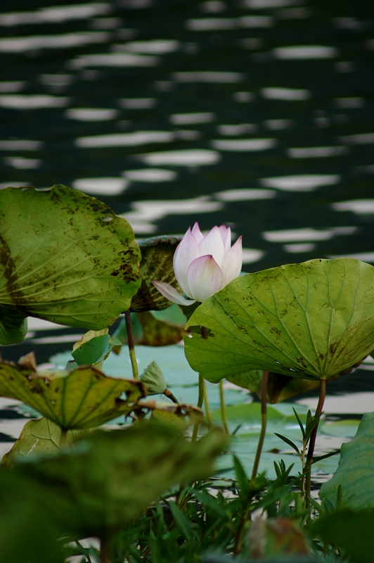 DSC03543.jpg