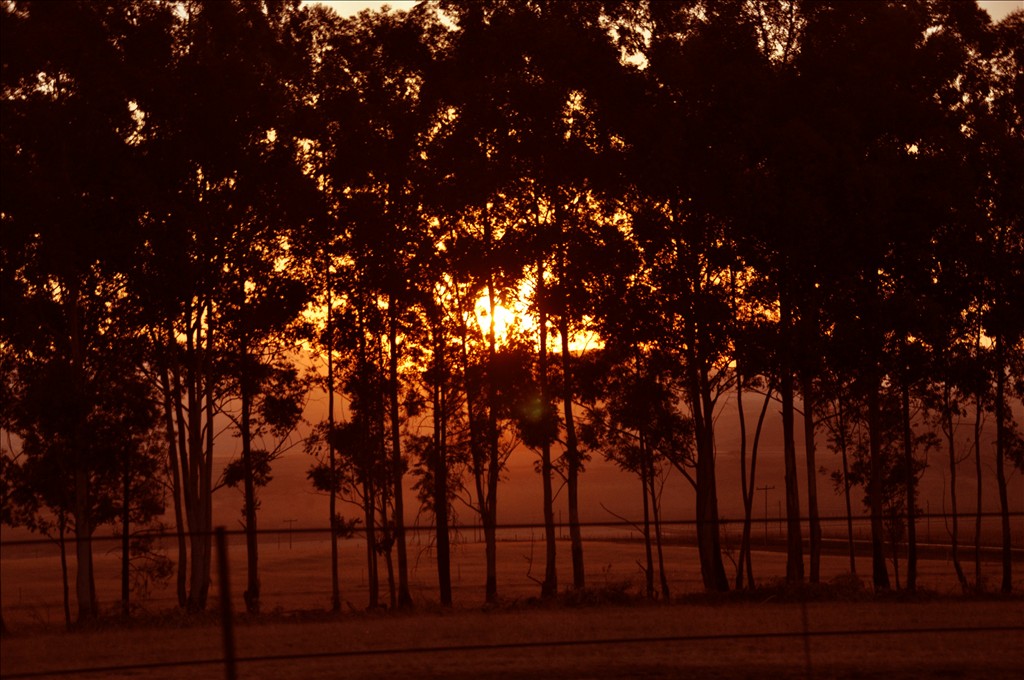 DSC_0857.JPG