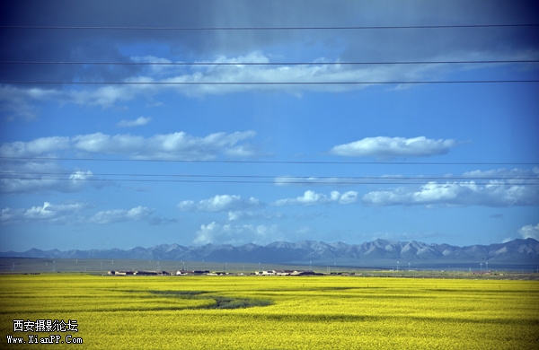 img1_src_3965160.jpg