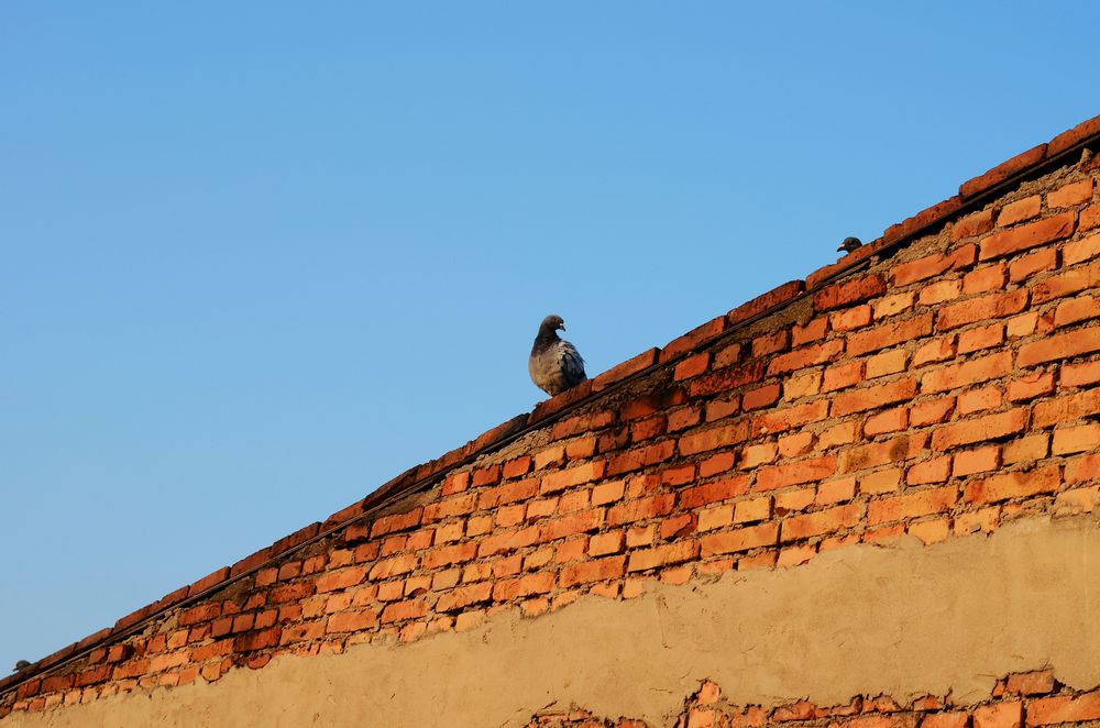 DSC_0020.JPG